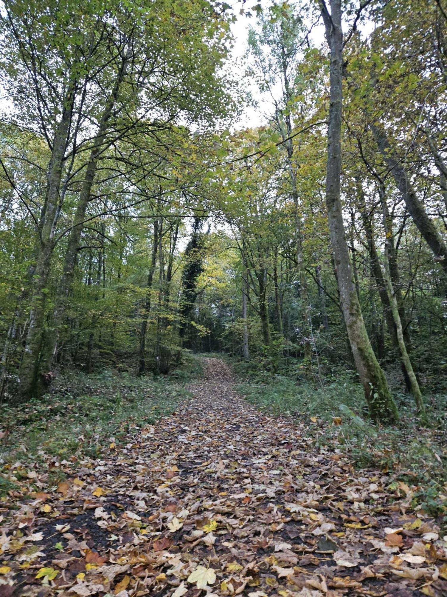 Gemuetliche Ferienwohnung Im Westerwald - "Ferienwohnung Grau" Weitefeld Exteriör bild